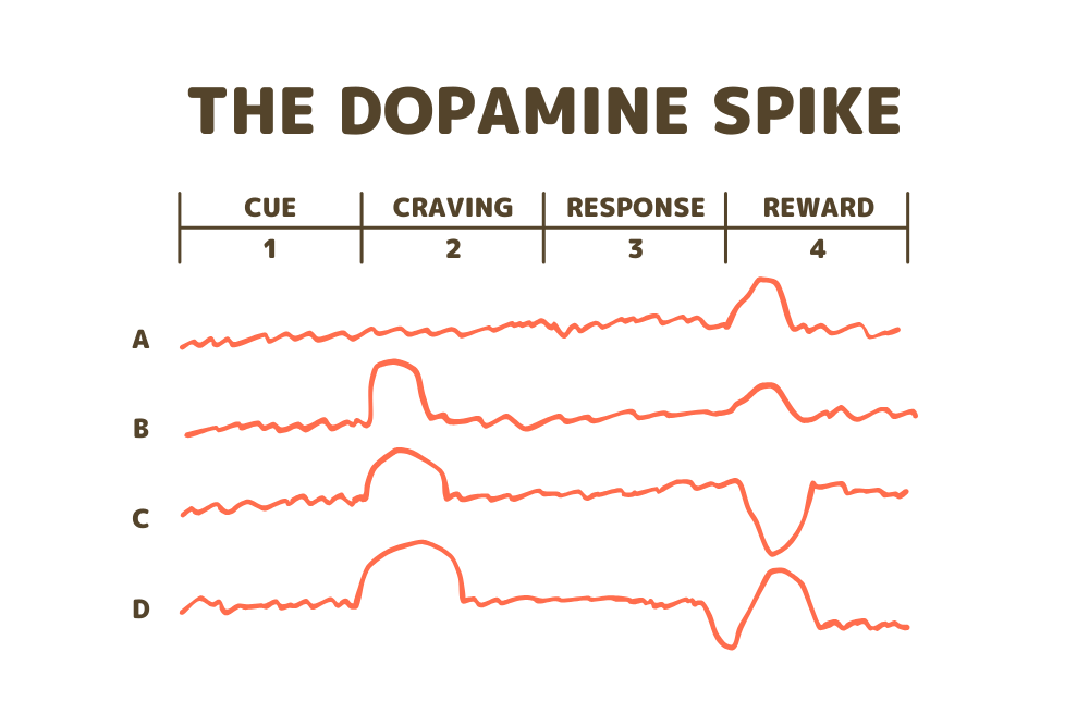 ドーパミンスパイク測定結果イメージ