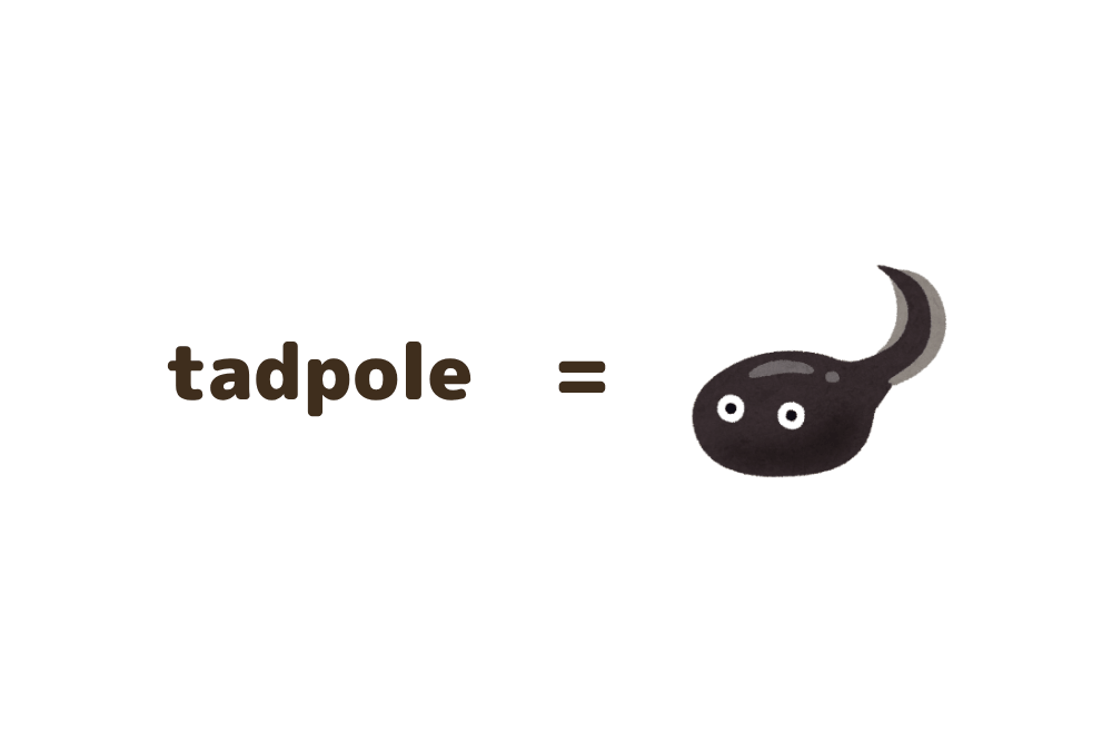 tadpole＝おたまじゃくし